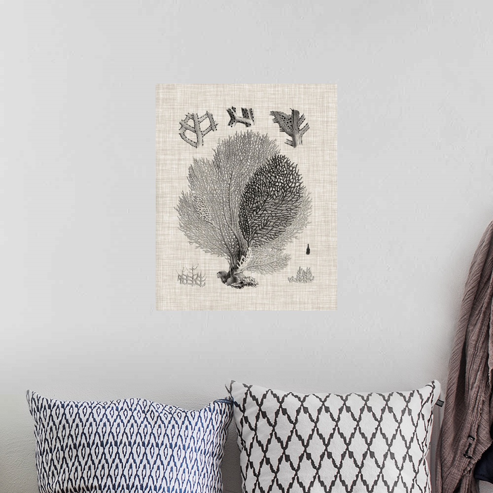 A bohemian room featuring A decorative vintage illustration of group of coral on a linen backdrop.