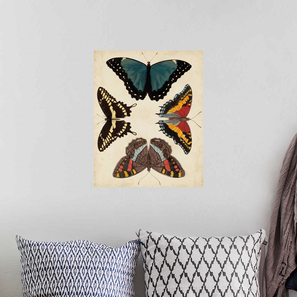 A bohemian room featuring Display of Butterflies I