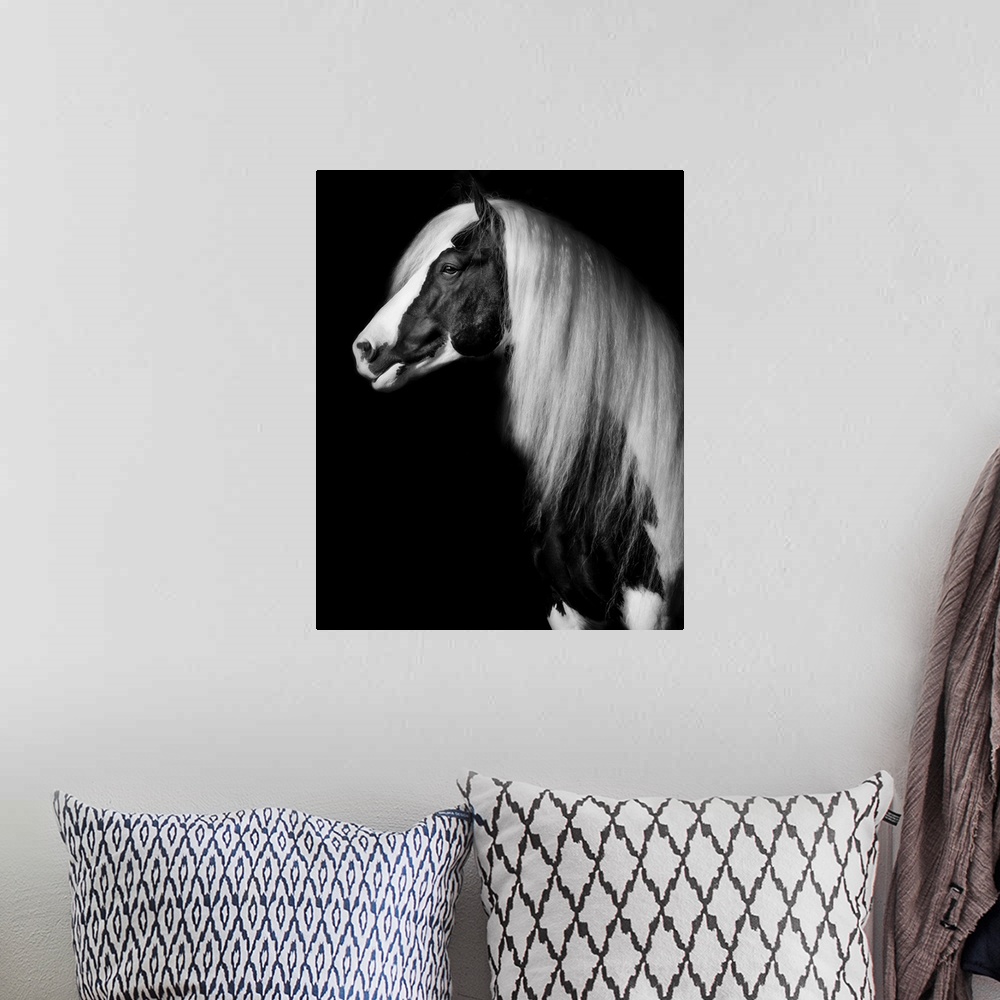 A bohemian room featuring Equine Portrait VII