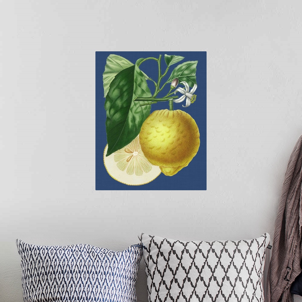 A bohemian room featuring French Lemon on Navy I