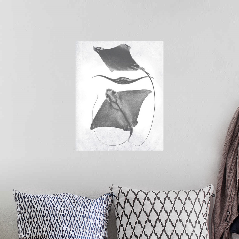 A bohemian room featuring Grey-scale illustration of a stingray.