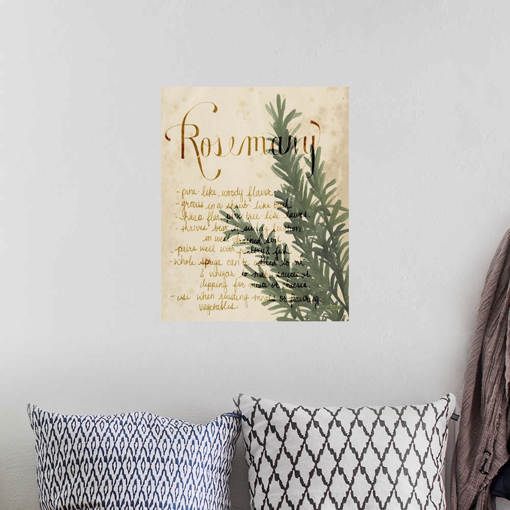 A bohemian room featuring Herb Study IV