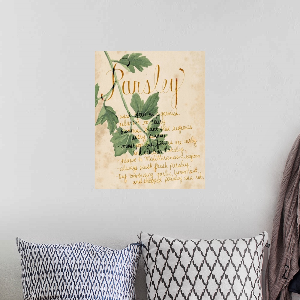 A bohemian room featuring Herb Study V