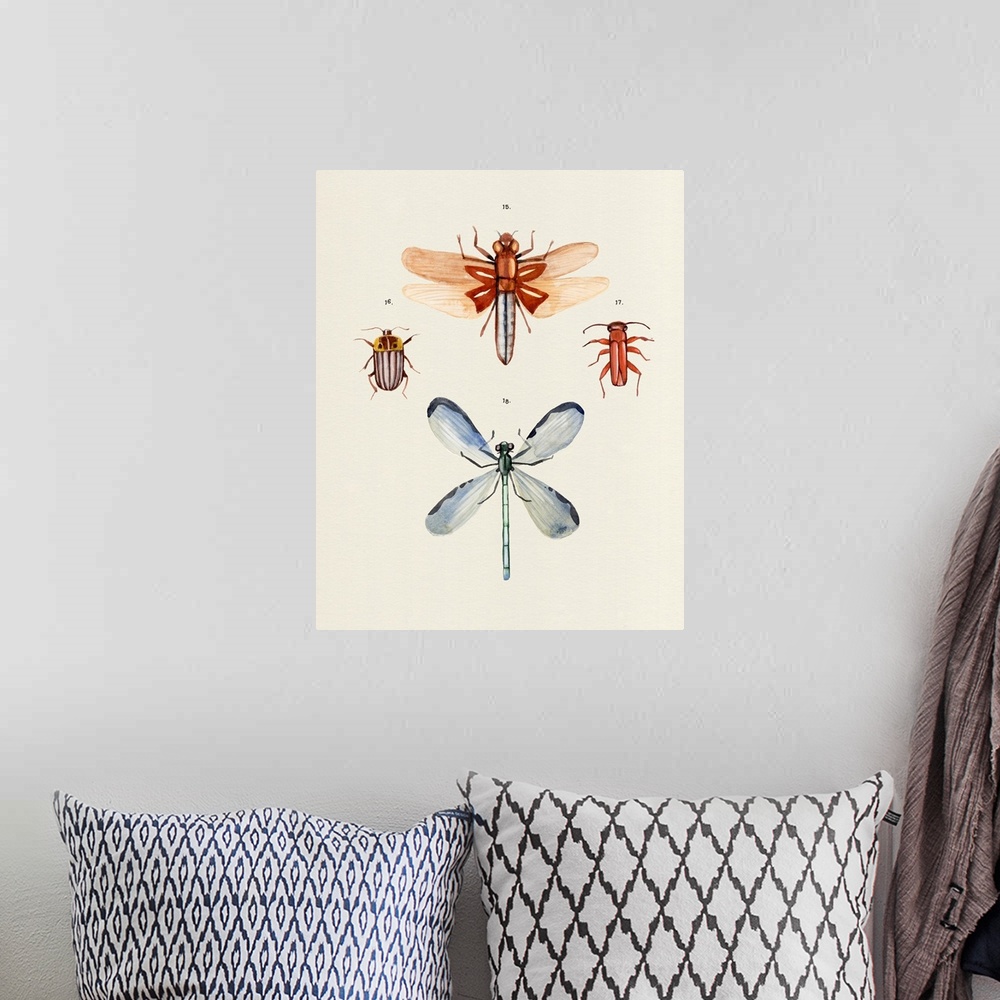 A bohemian room featuring Insect Varieties IV