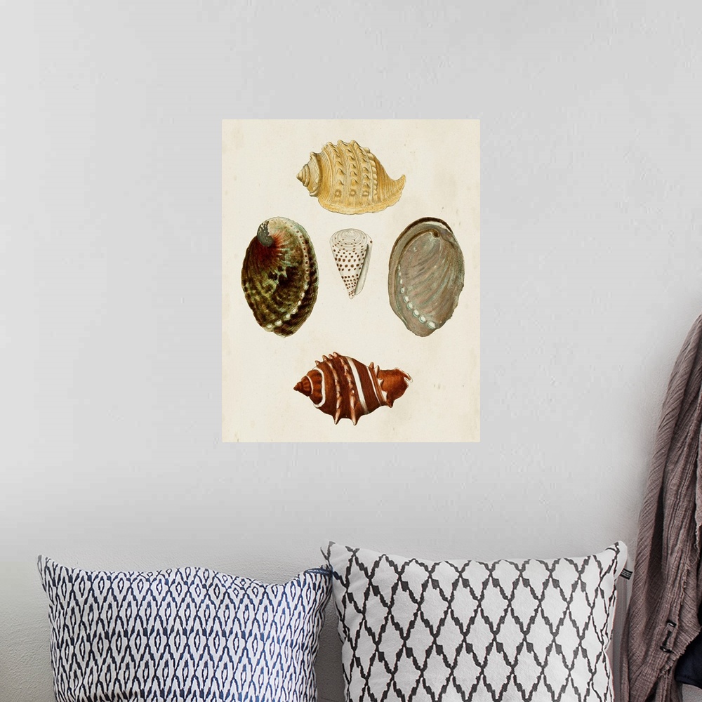 A bohemian room featuring Knorr Shells IV