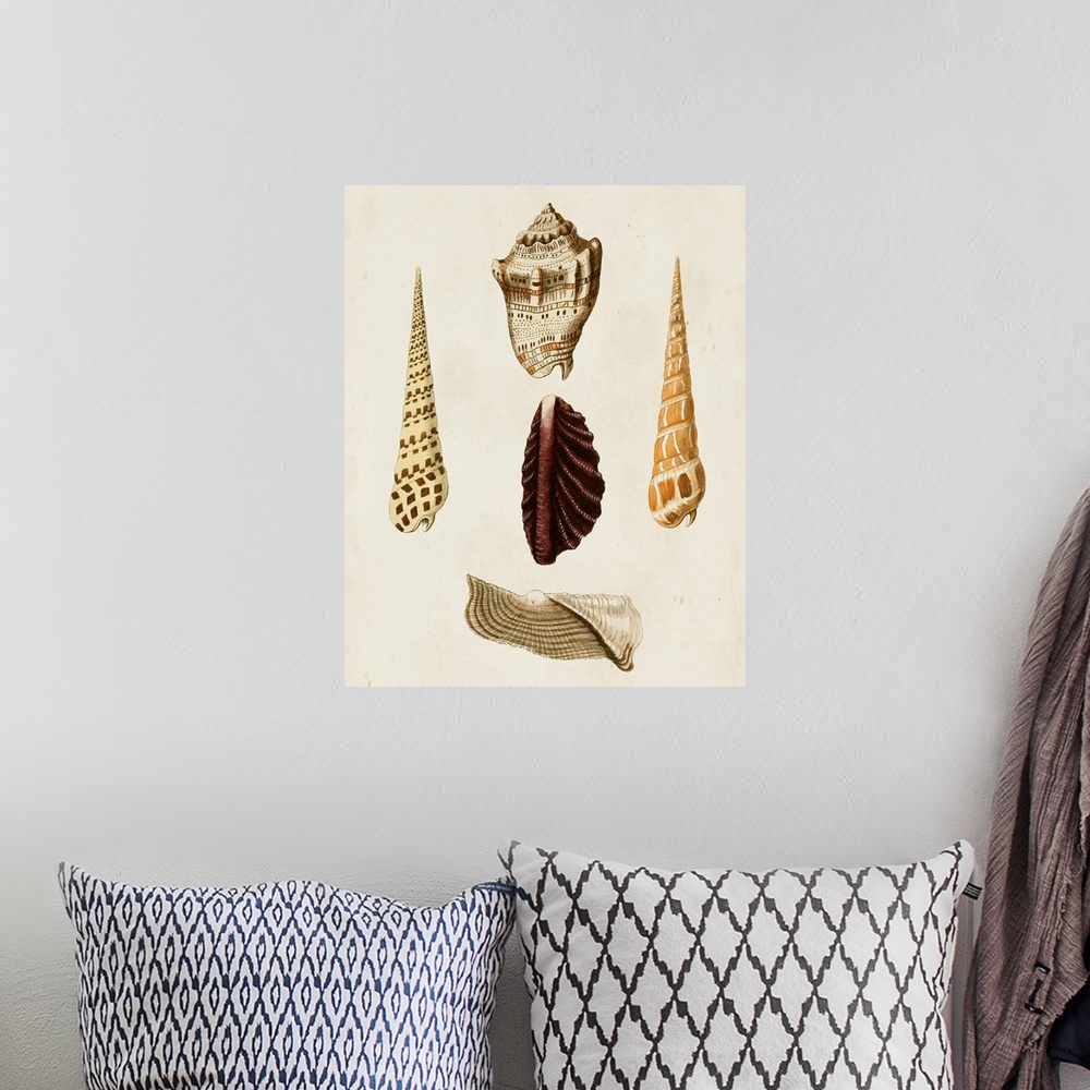 A bohemian room featuring Knorr Shells VI
