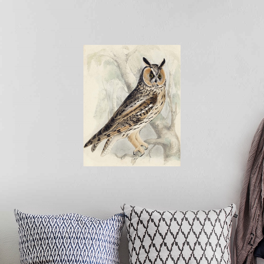 A bohemian room featuring Contemporary artwork of an owl illustration in a vintage style.