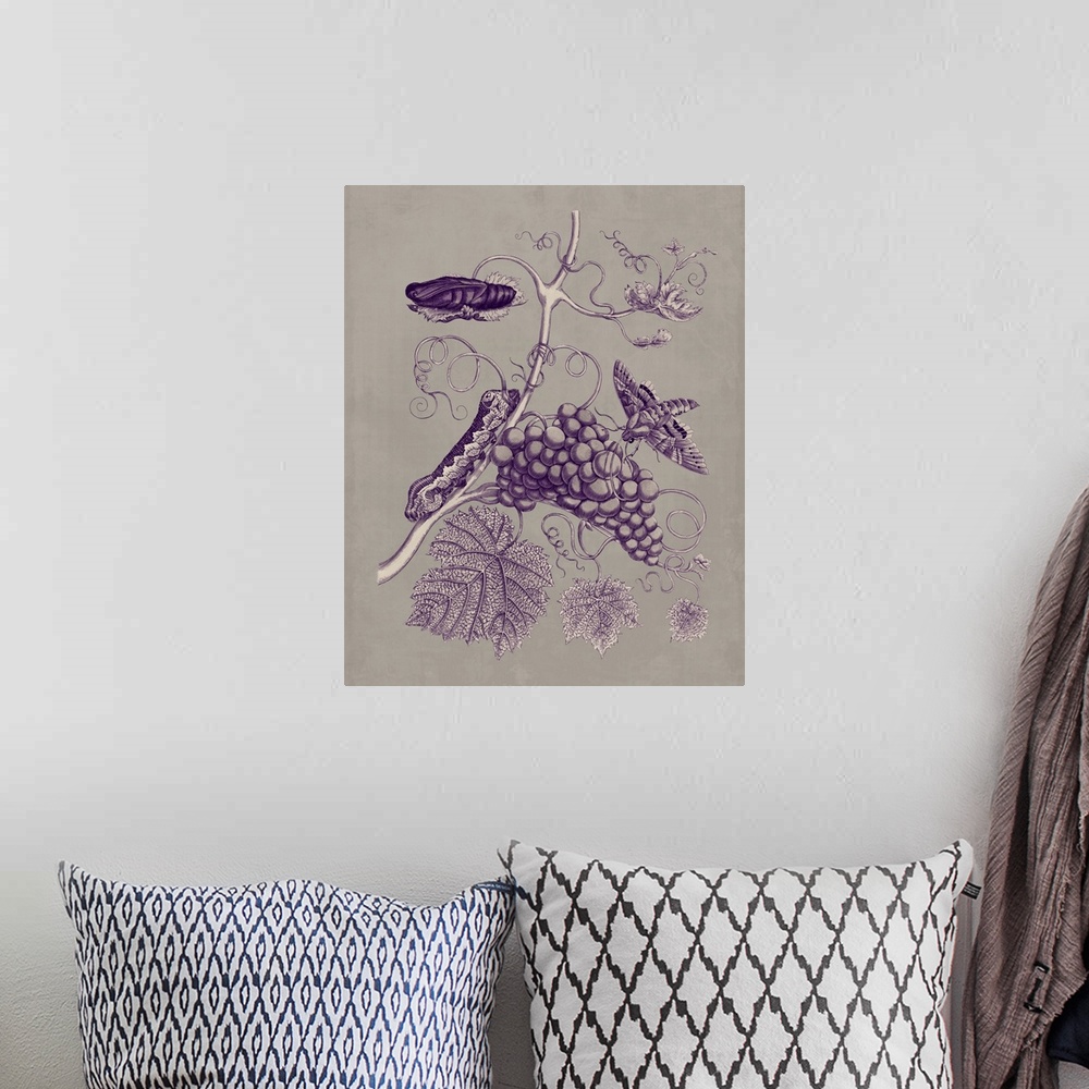 A bohemian room featuring Nature Study in Plum and Taupe III
