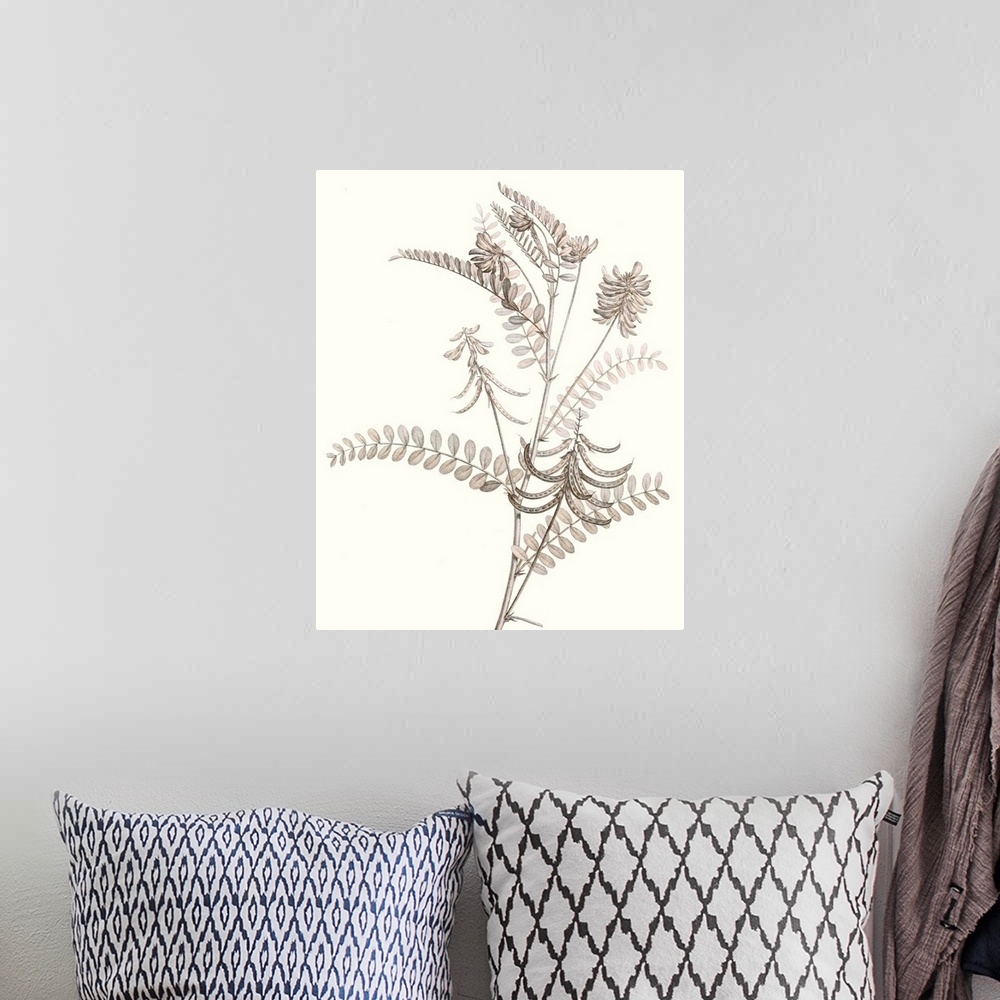 A bohemian room featuring Illustrated botanical study in neutral tones.