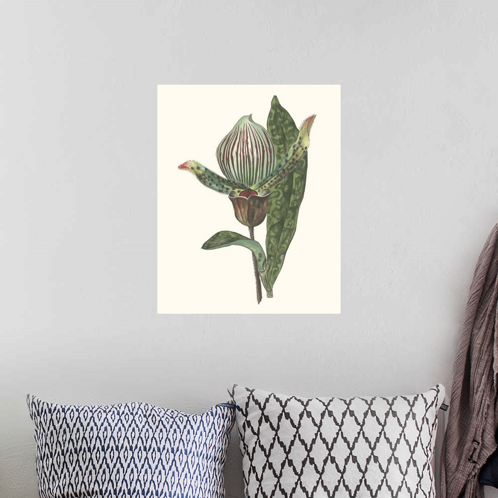 A bohemian room featuring Decorative artwork of an orchid in soft tones.