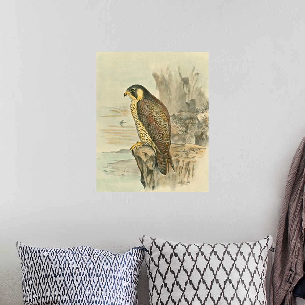 A bohemian room featuring Peregrine Falcon
