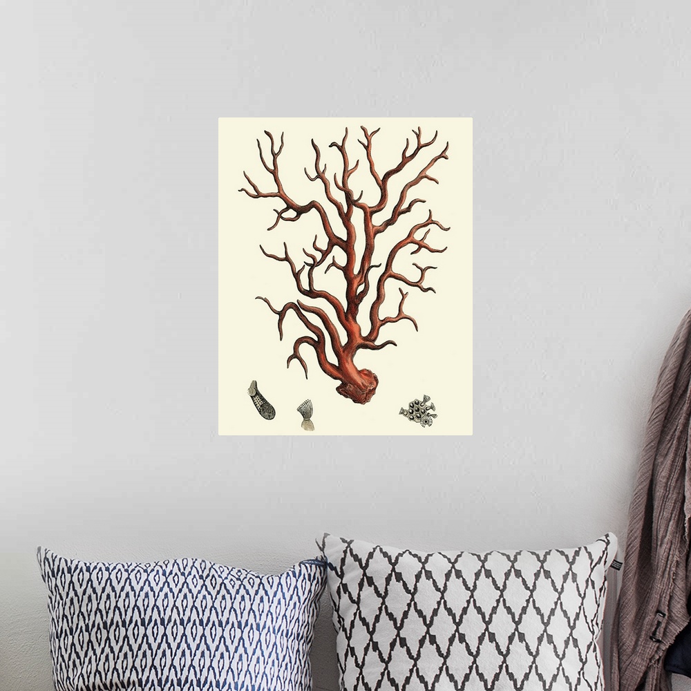 A bohemian room featuring Contemporary artwork of a vintage style red coral illustration.