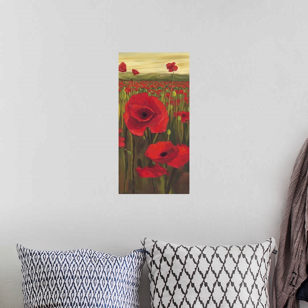 A bohemian room featuring Red Poppies in Field II