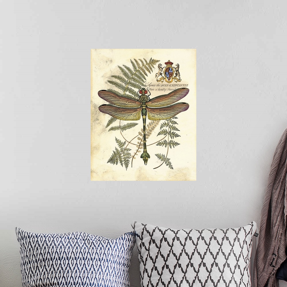 A bohemian room featuring Contemporary artwork of a dragonfly and fern frond against a weathered beige background.