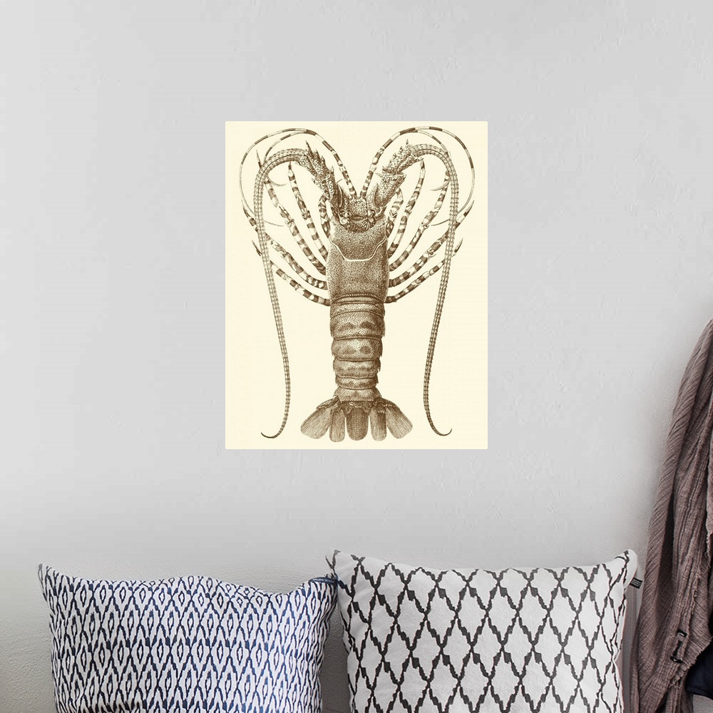 A bohemian room featuring Sepia Lobster I