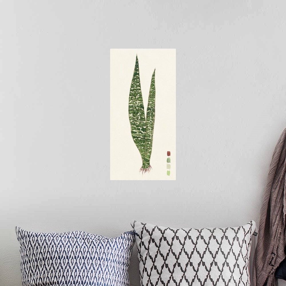 A bohemian room featuring Snake Plants IV