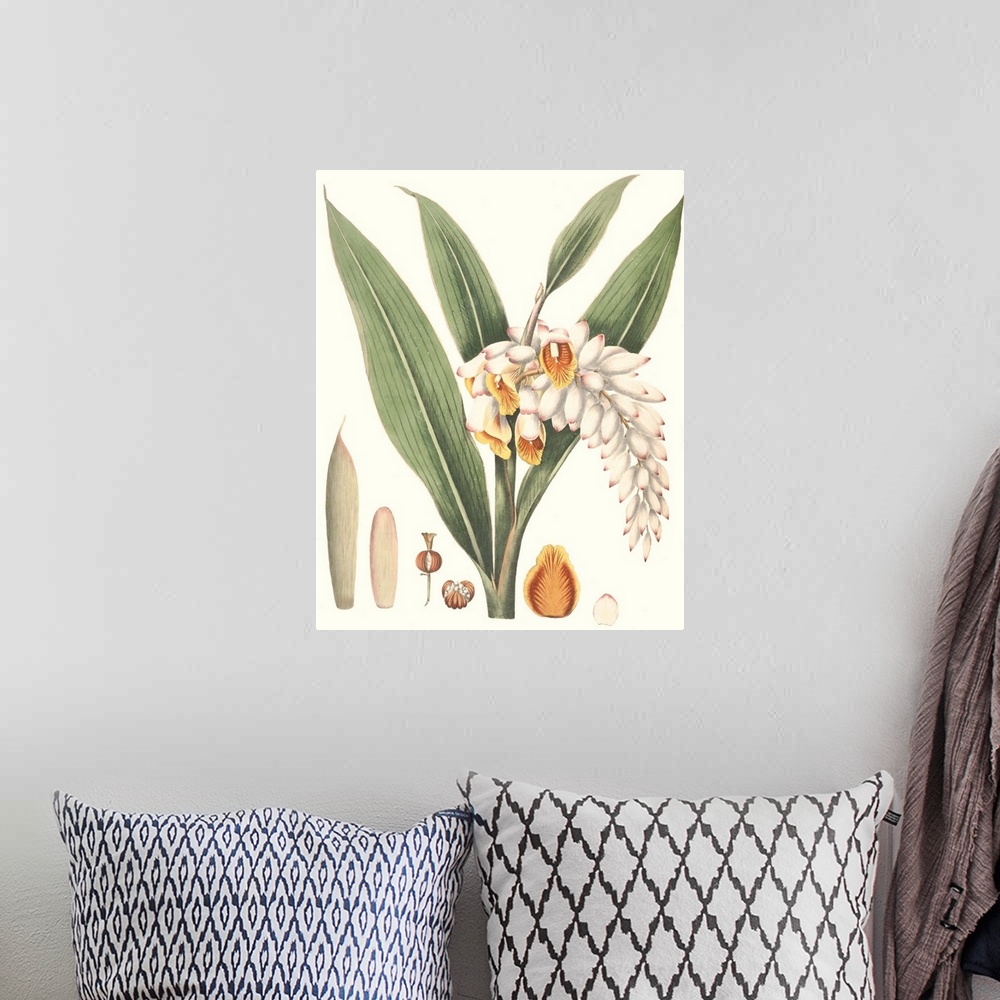 A bohemian room featuring Decorative artwork of tropical plants in soft tones.