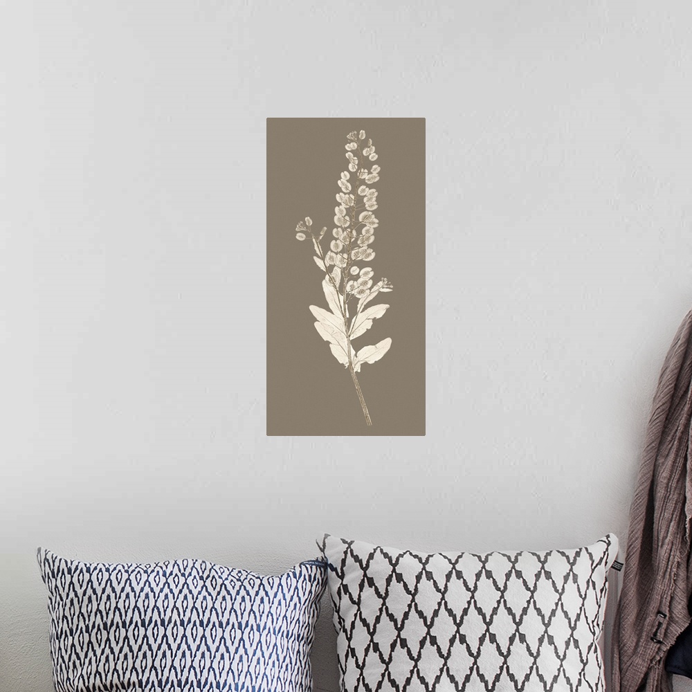A bohemian room featuring Taupe Nature Study III