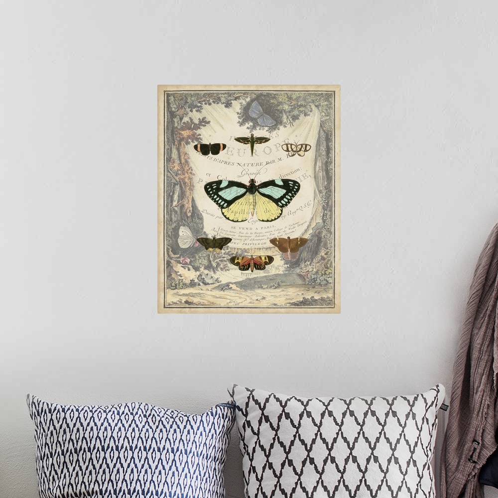 A bohemian room featuring Vintage Butterfly Bookplate