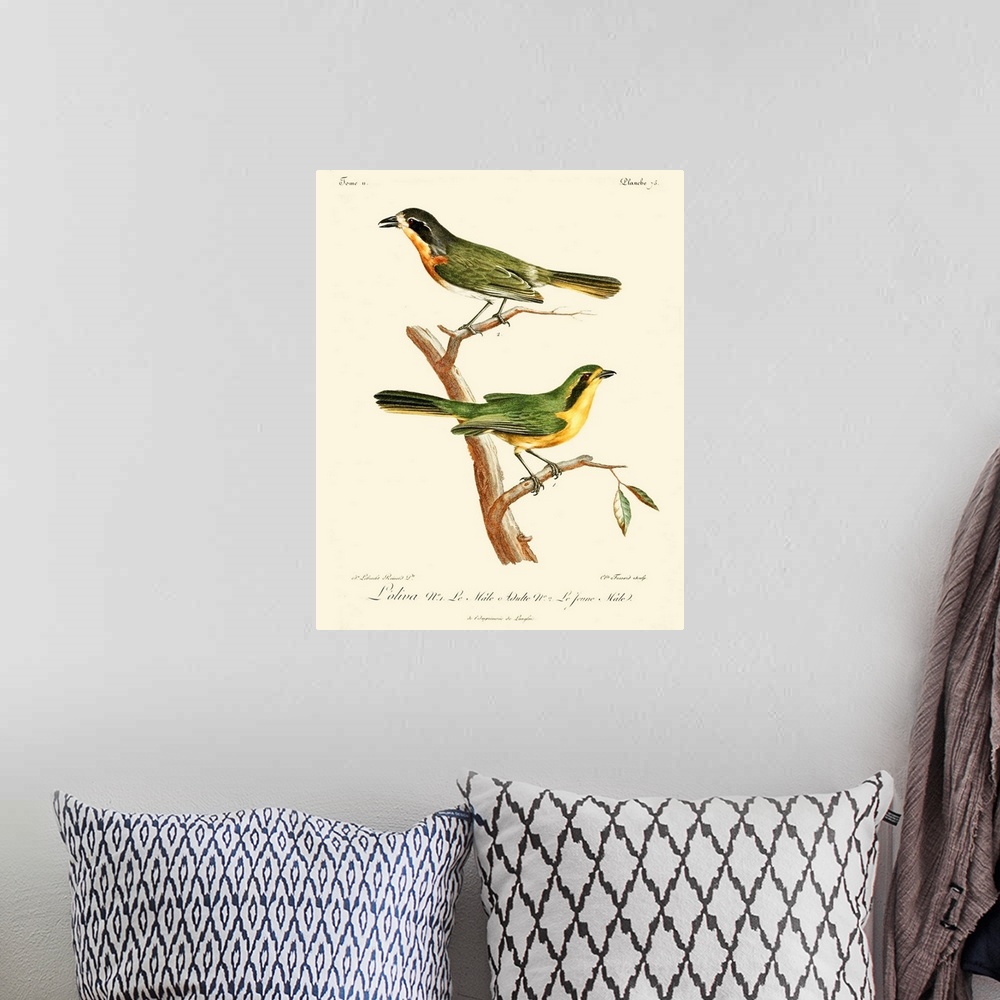 A bohemian room featuring Vintage French Birds VI