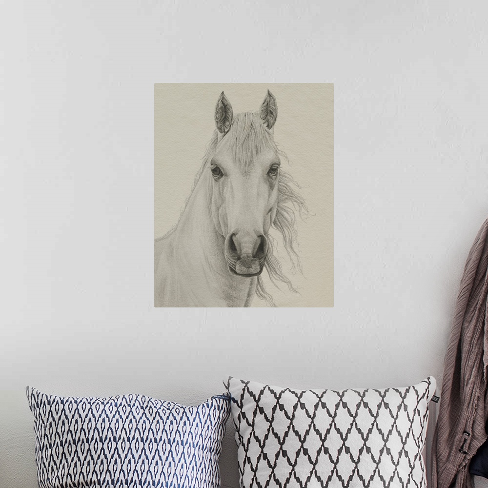 A bohemian room featuring White Horse Portrait I