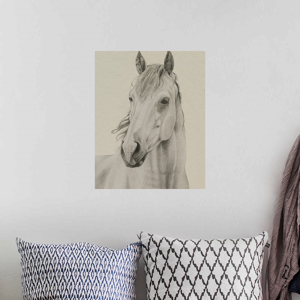 A bohemian room featuring White Horse Portrait II