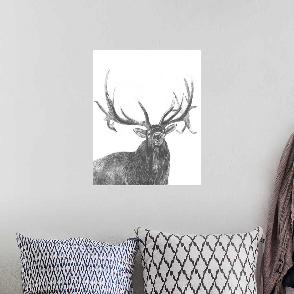 A bohemian room featuring Graphite portrait of an elk.