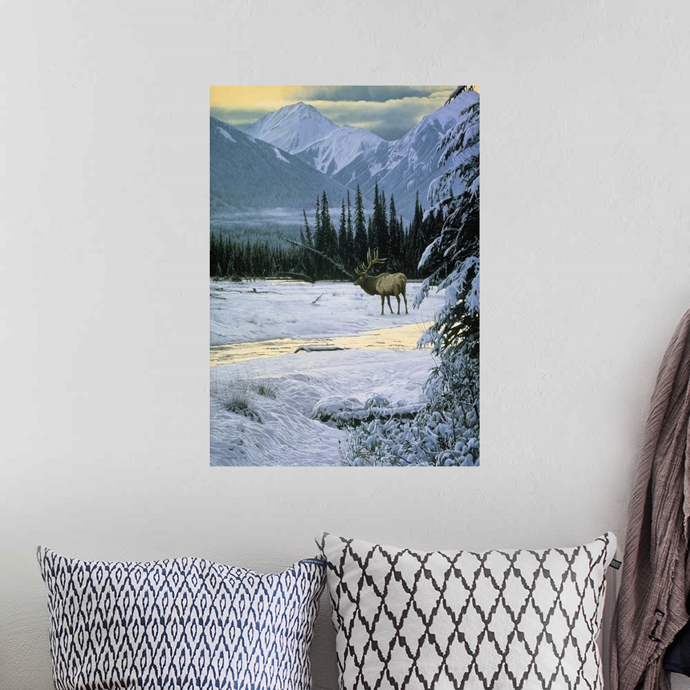 A bohemian room featuring An elk makes its way across the snow covered landscape.