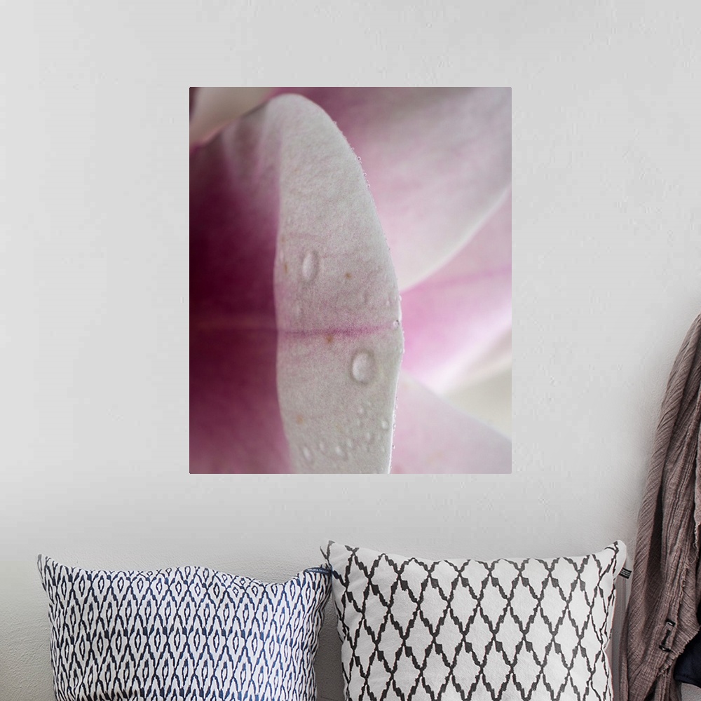 A bohemian room featuring Abstract photograph of a pink petal in reflection.