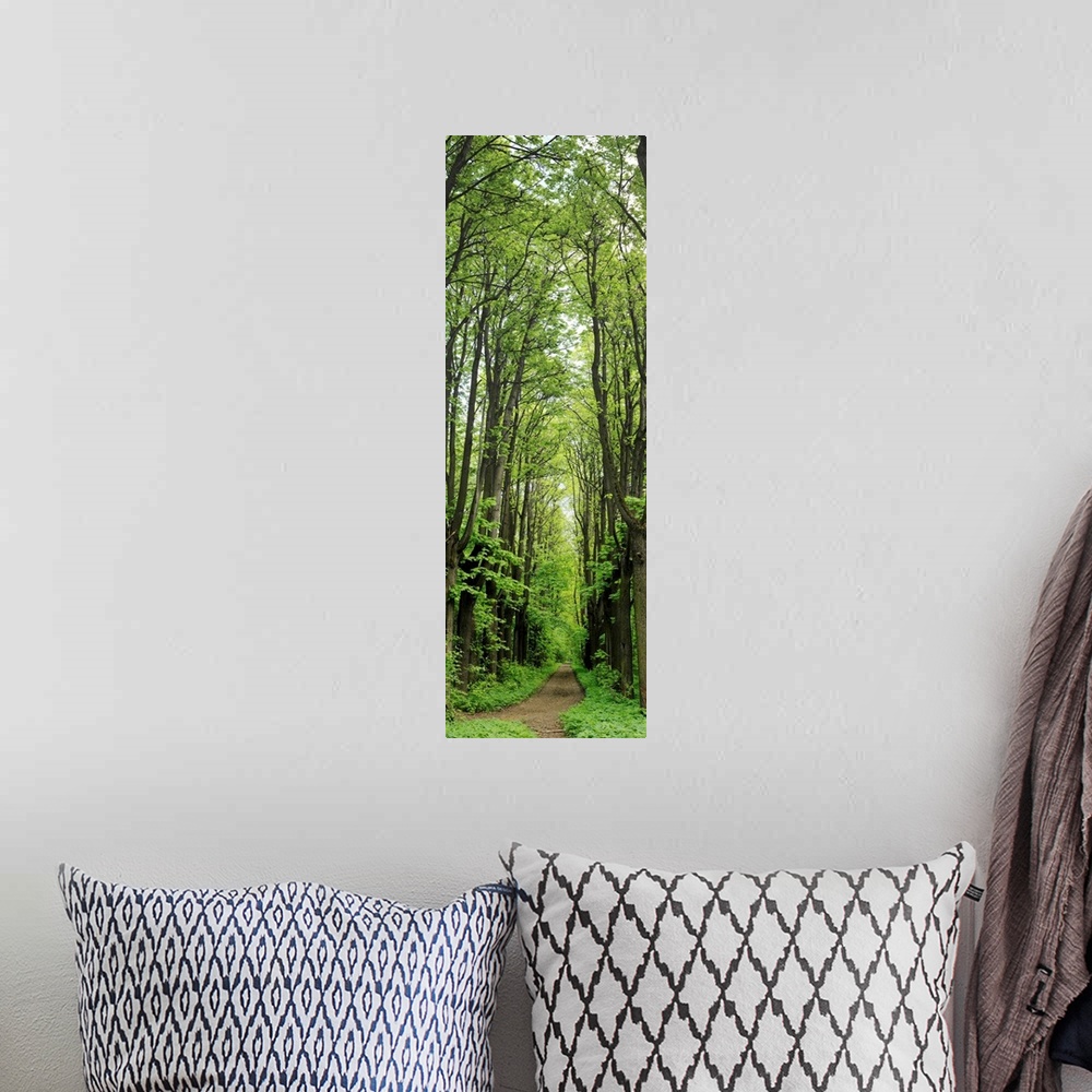 A bohemian room featuring Russia, Moscow Oblast, Moscow, park of estate Kuskovo, vertical panorama