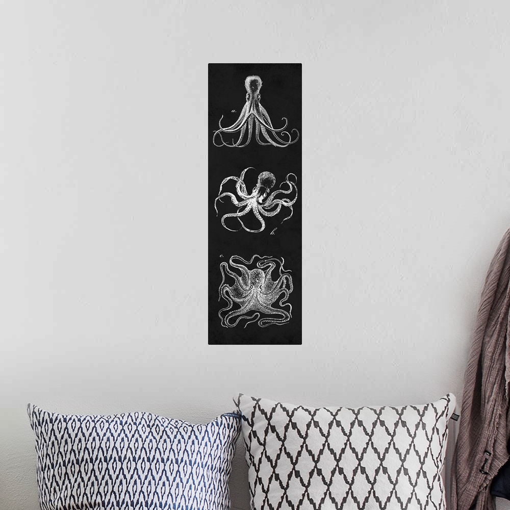 A bohemian room featuring Octopi Study