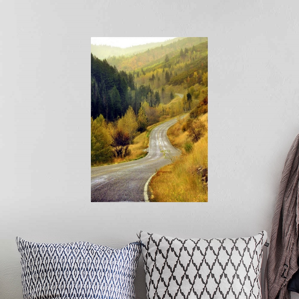 A bohemian room featuring Curve mountain road with autumn trees in Cascade Springs.