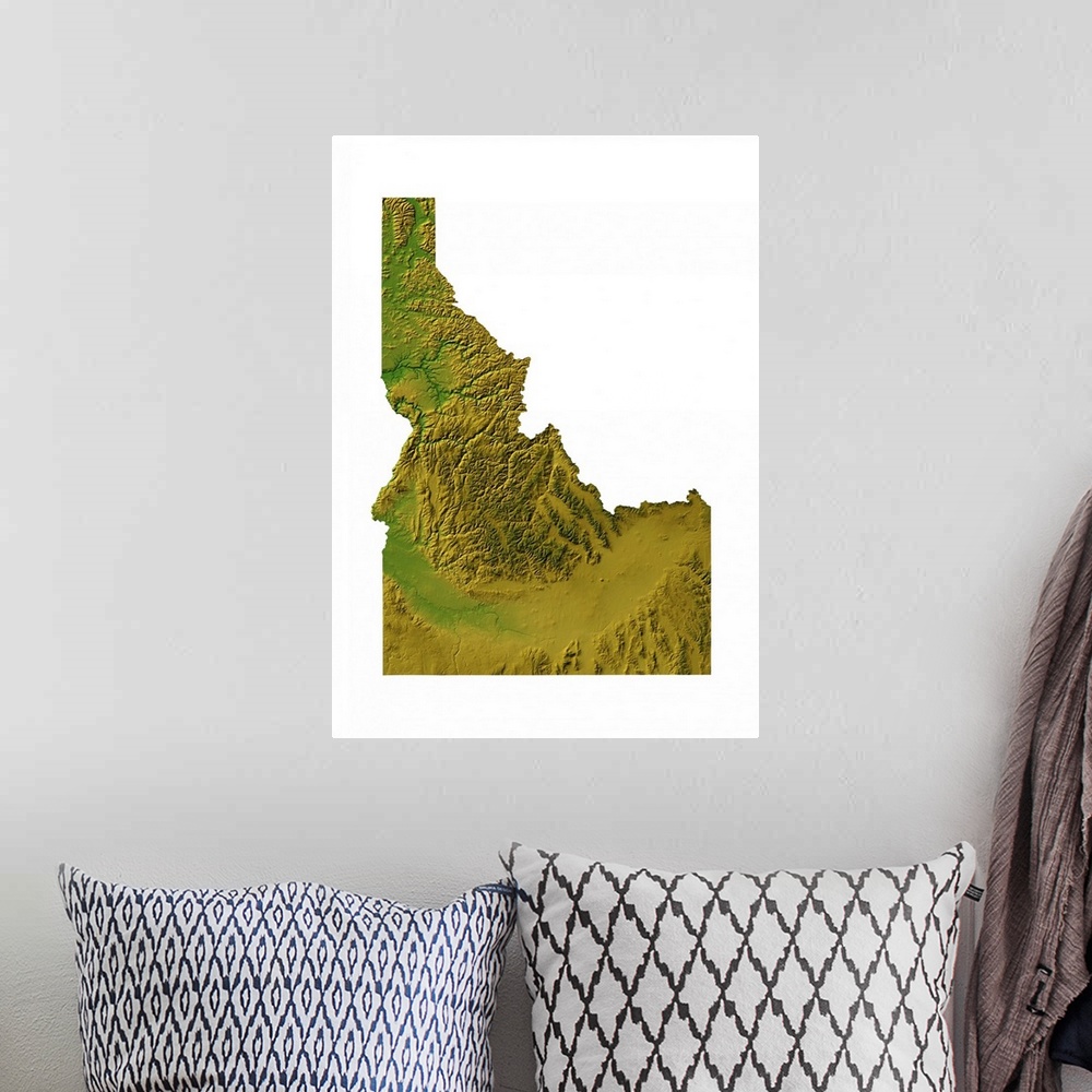 A bohemian room featuring Idaho topographic map
