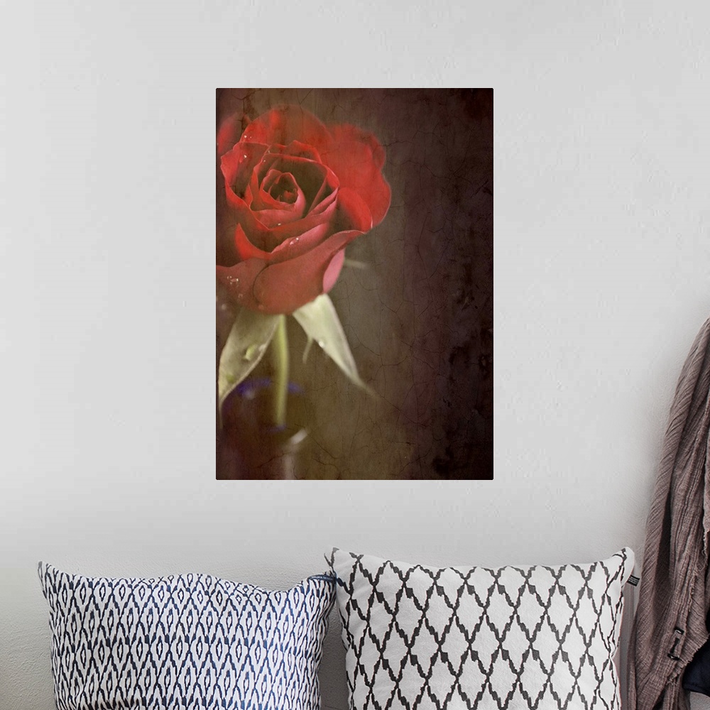 A bohemian room featuring Crop of a red rose in blue vase with texture.
