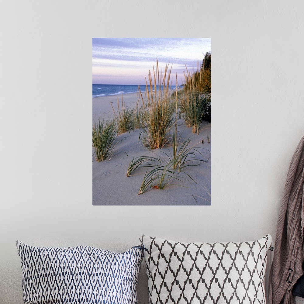 A bohemian room featuring PICTURED ROCKS NATIONAL LAKESHORE. LAKE SUPERIOR.  BEACH or MARRAM GRASS . Pioneer dune-building ...