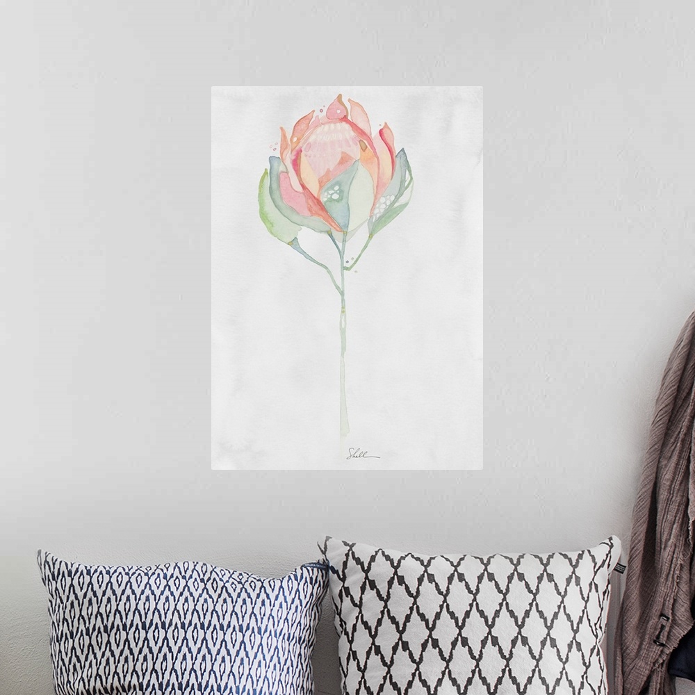 A bohemian room featuring Hand Painted watercolor painting of a King Protea flower with watercolor background