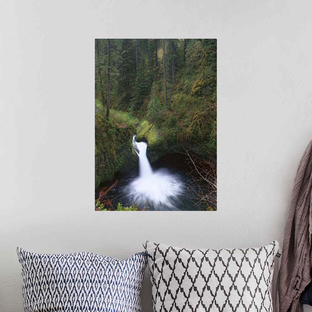 A bohemian room featuring Punchbowl Falls at Eagle Creek, Columbia River Gorge, Oregon