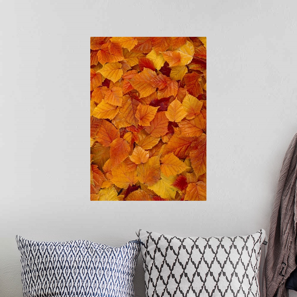 A bohemian room featuring Autumn Leaves