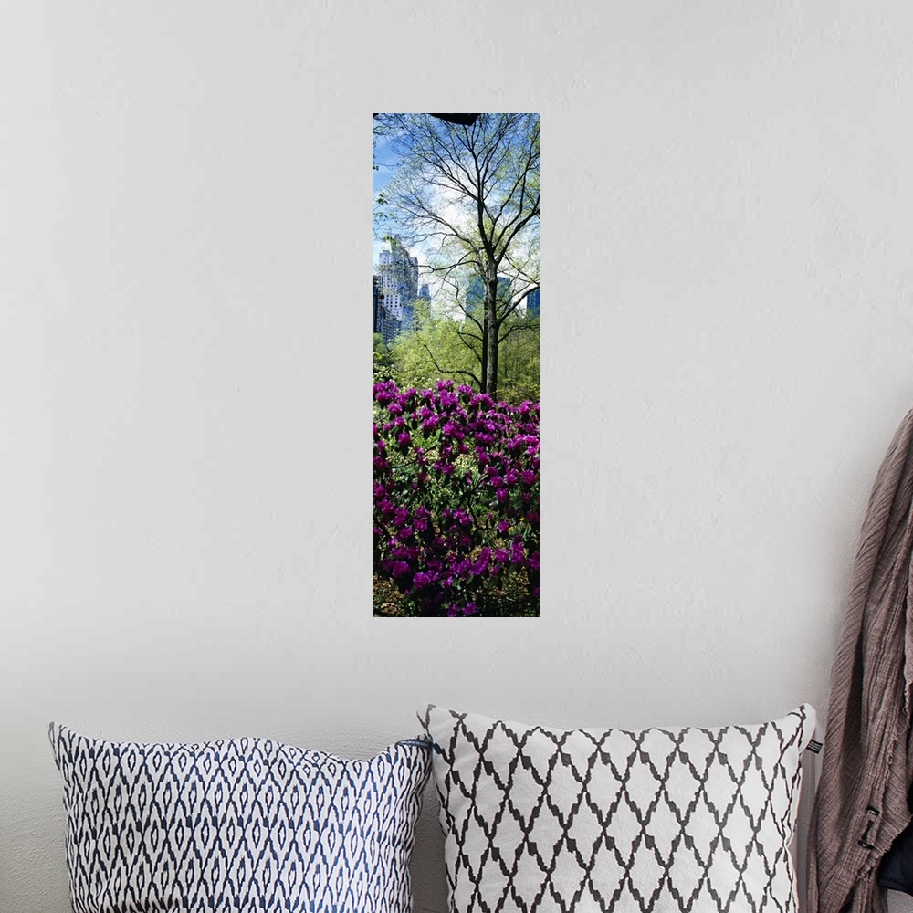 A bohemian room featuring Tall and narrow canvas photo of flowers in NYC with tall skyscrapers in the distance.