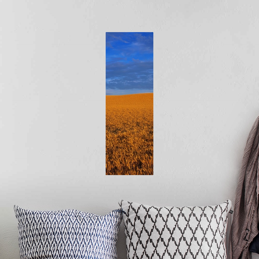 A bohemian room featuring Clouds Over a Wheat Field