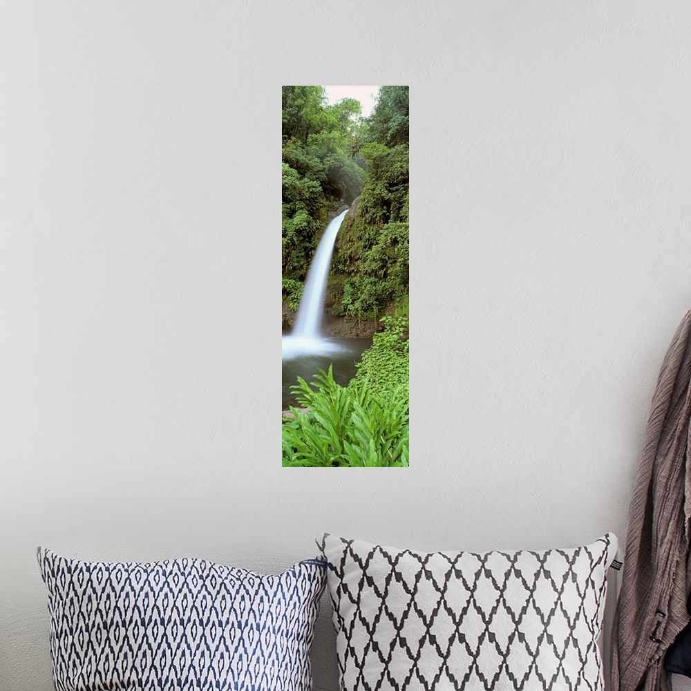 A bohemian room featuring Costa Rica, Catarata La Paz Waterfall, View of a waterfall in a forest