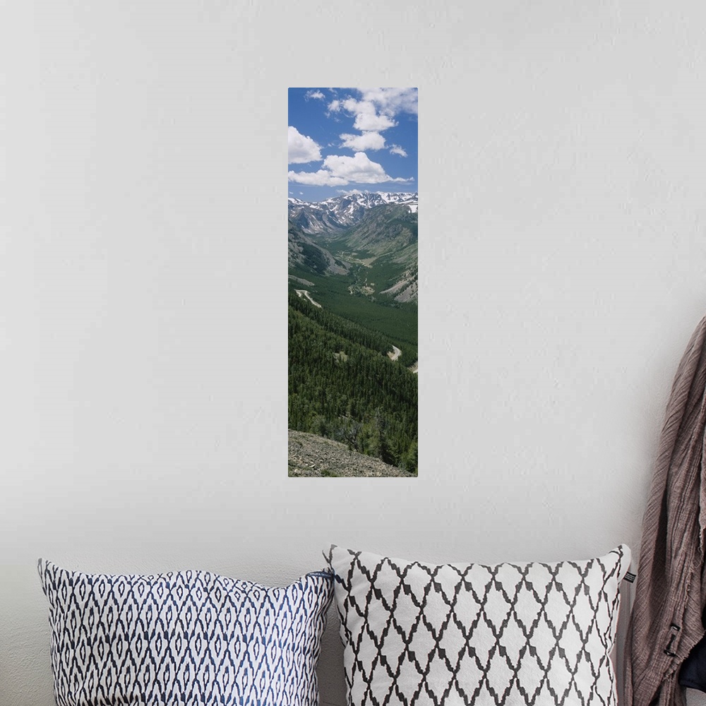 A bohemian room featuring High angle view of a highway through a forest, Beartooth Highway, Beartooth Mountains, Montana