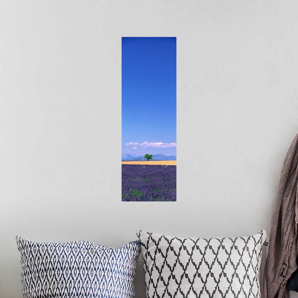 A bohemian room featuring This tall panoramic piece is a photograph of a single tree in the distance with a field full of p...