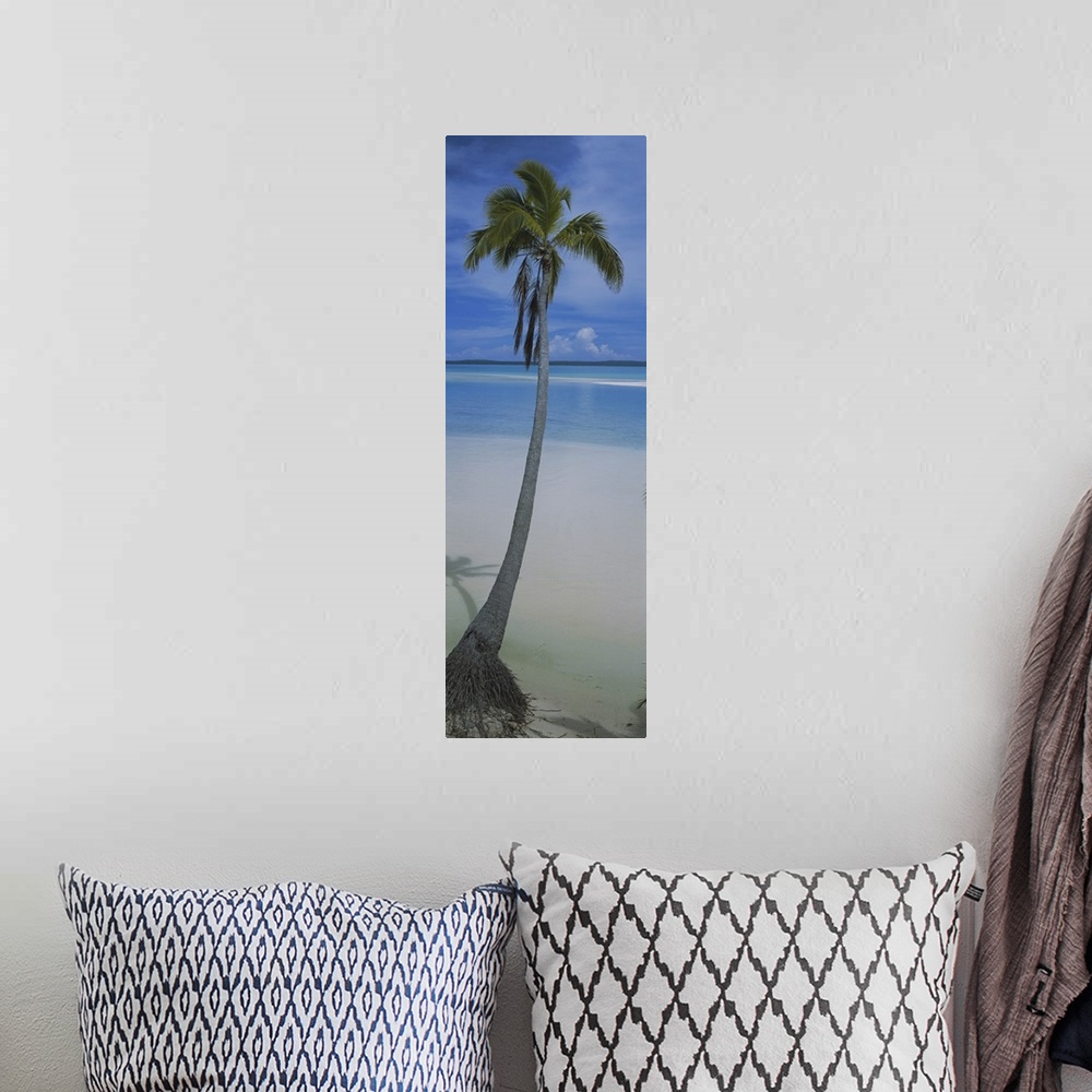 A bohemian room featuring A single palm tree is photographed in vertical panoramic view with sand and ocean water just in f...