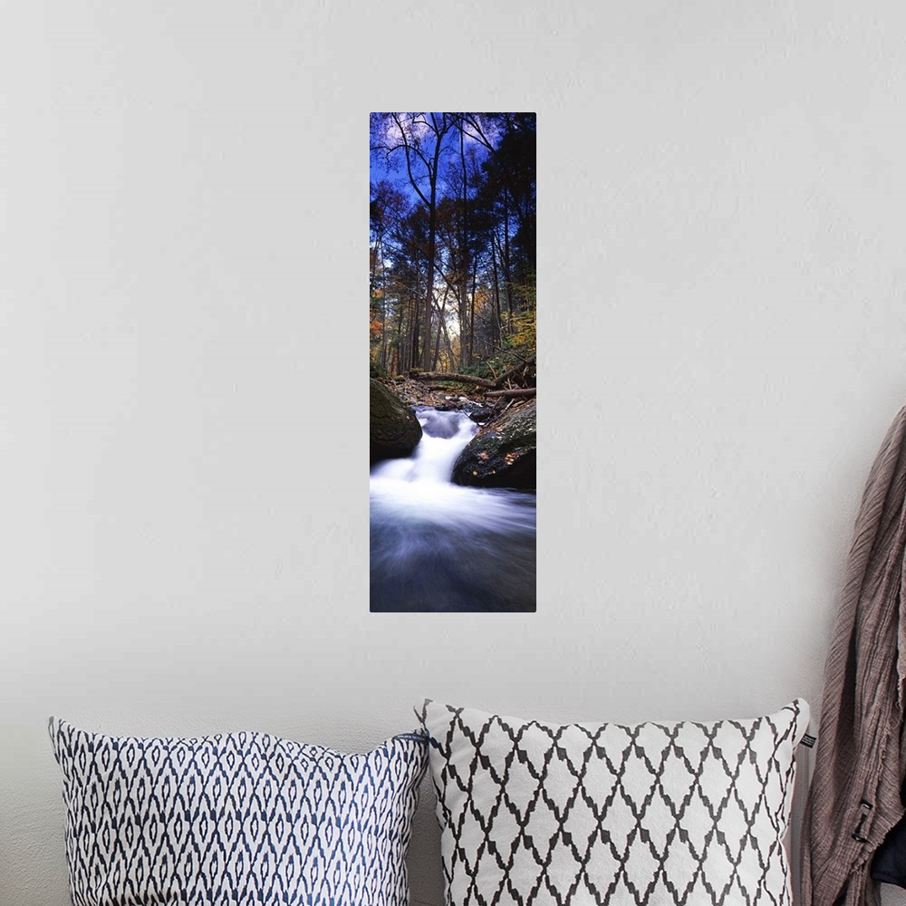 A bohemian room featuring River flowing through a forest Delaware Water Gap National Recreation Area New Jersey