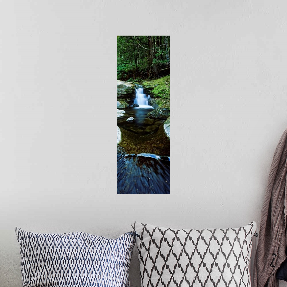 A bohemian room featuring River flowing through a forest, Liffey Falls, Liffey River, Tasmania, Australia