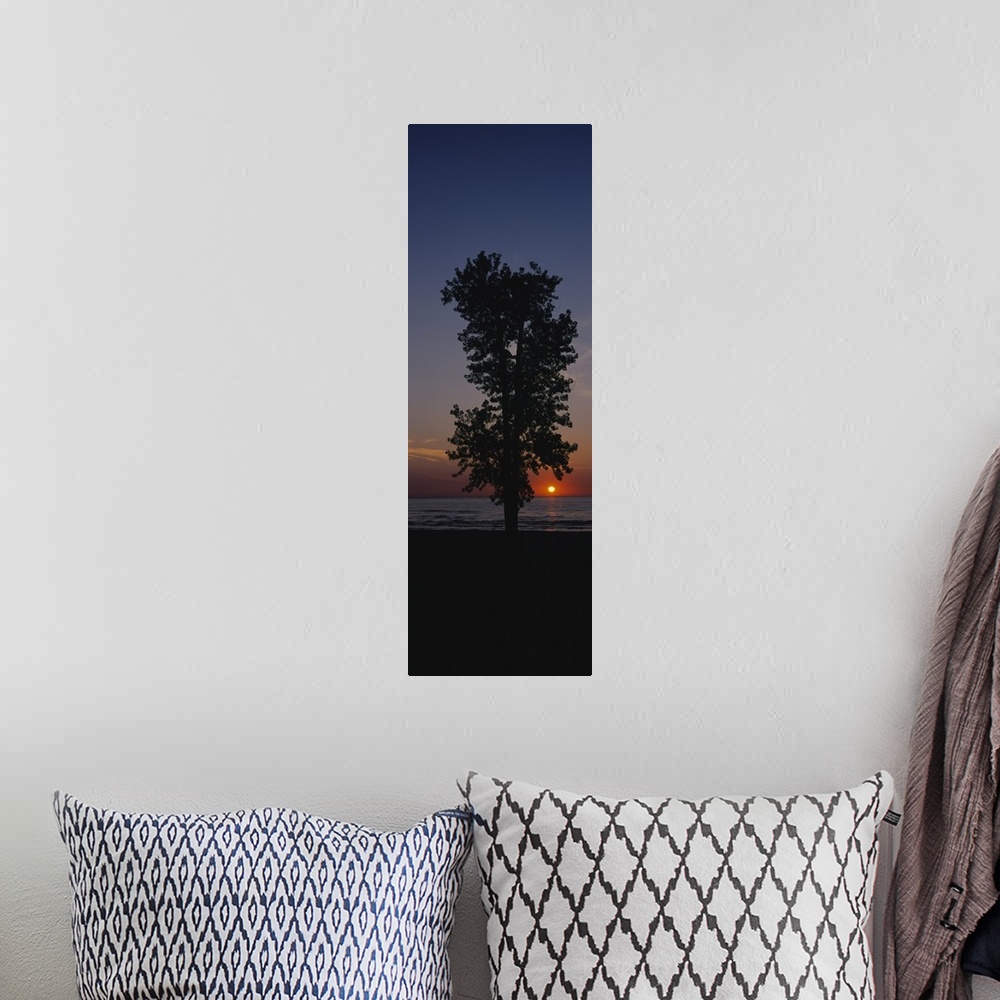 A bohemian room featuring Silhouette of a cotton wood tree at sunrise, Lake Erie, Michigan