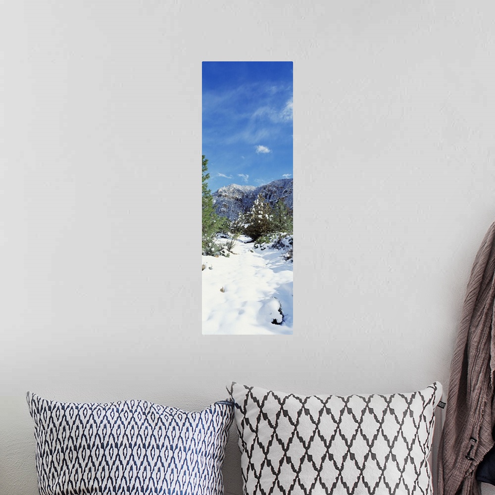 A bohemian room featuring Snow Sedona Area AZ