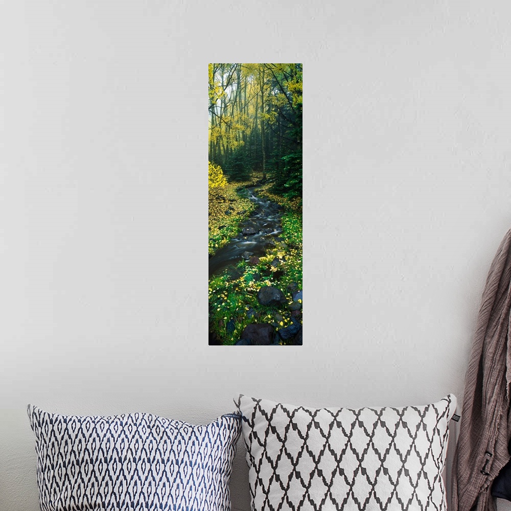 A bohemian room featuring Stream flowing through forest