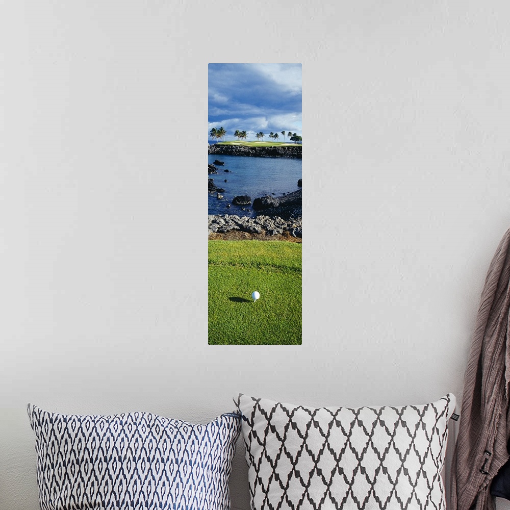 A bohemian room featuring Tall panoramic photo of a golf ball, the shot lined across a small inlet towards a patch of palm ...